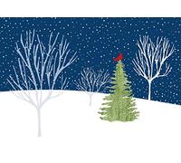 Peter Pauper Press Deluxe Boxed Christmas Cards: Midnight Cardinal
