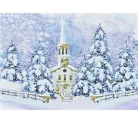 Peter Pauper Press Winter Sanctuary Deluxe Boxed Holiday Cards (20 cards, 21 self-sealing envelopes)