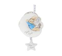PETER RABBIT - PETER RABBIT Night Night Musical