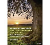 Peter Wohlleben Das geheime Leben der Bäume: Was sie fühlen, wie sie (Tapa dura)