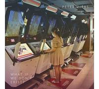 PETER ZIRBS - WHAT IF WE DON'T EXIST? [Vinilo]