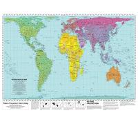 Peters Projection World Map (Flat, rolled) (World View Peters Projection Map)