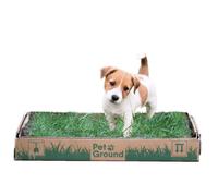 Petground Cama para perros Empapador, Alfombra Olfativa, Césped Natural