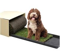 PetGround Empapador Ecológico para Perros, Alfombrilla de Césped Natural, Inodoro, Reutilizable, Caja Impermeable, Pack XL (120cm x 40cm)