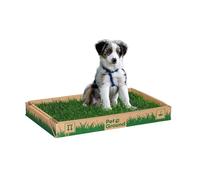 PetGround Empapador para Perros, Ecológico, Alfombrilla de Césped Natural, Inodoro para Perros, Caja Impermeable, Reutilizable e Inoloro, Standard (60cm x 40cm)