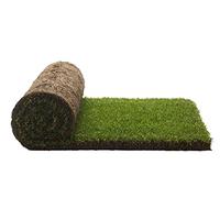 PetGround, Recambio Bandeja XL Cama para Mascotas, Alfombra Olfativa (XL)