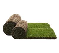 PetGround, Recambio Bandeja XXL Cama para Mascotas, Alfombra Olfativa (XXL)