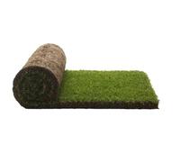 PetGround, Recambio de césped/Hierba 100% Natural para Caja, Alfombra Olfativa, para tu Mascota (XXL)