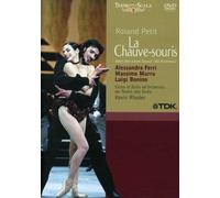 Petit / Murro / Bonino / Zeni - Chauve-Souris [USA] [DVD]