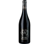 Petit Ours 2024 - Matthieu Barret