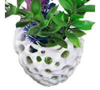 Petite Maison Betta poreuse - Abri pour poissons et crevettes | Grotte d'aquarium en matériau Naturel, cachette sécurisée pour Betta, crevettes et Petits poissons, accessoire décoratif aquatique
