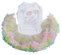 Petitebella Vestido de princesa con diamantes de imitación y corona de cumpleaños para cachorro (blanco/arcoíris, grande)