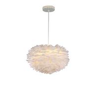 PETITES ECREVISSES Moderno Lámpara Colgante de Plumas Romántico forma de amor Ø30cm E27 40W Iluminación, 100cm Cable Blanco Ajustable
