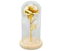 petjoyful Rosa en cúpula de cristal Simbolismo hermoso de la suerte Rosa encantada romántica Regalos románticos con luz LED para el día de San Valentín (Pan De Oro Rosa Dorado)