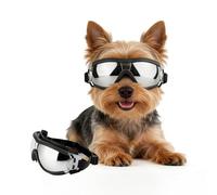 PETLESO Gafas para perros pequeños, antiUV, resistentes al viento, gafas de moto con banda elástica ajustable, gafas de sol para perros de raza pequeña, plata, S