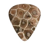 Petoskey Stone - Juego de 12 púas para guitarra acústica, guitarra eléctrica, ukelele
