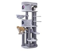 Petrebels Rascador XXL Isabella 210 cm, diseño de árbol rascador para gatos grandes como Maine Coon, color gris