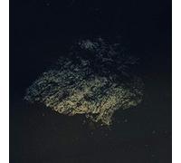 Petrels - The dusk loom