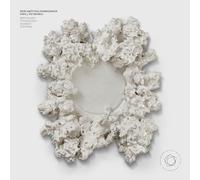 Petrenko Conducts the Berlin Philharmonic [Vinilo]