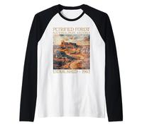 Petrified Forest National Park | Arizona Camiseta Manga Raglan