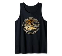 Petrified Forest National Park | Arizona Camiseta sin Mangas