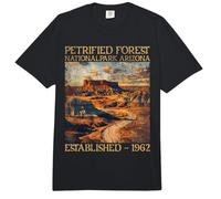 Petrified Forest National Park | Arizona Comfort Colors Adult Heavyweight T-Shirt