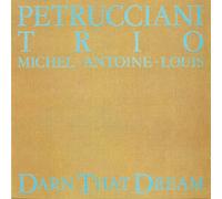 Petrucciani, Michel Trio - Darn That Dream