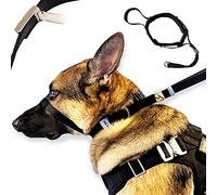 Pets ProMax - Collar de cabeza, collar de perro sin tirones, collar de perro para pasear/entrenamiento | Correa incluida | Collar de entrenamiento para perros