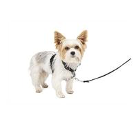 PetSafe 3 en 1, Arnés Antitirones para Perros, Ajustable, Acolchado, Reflectante, Cinturón de Seguridad para Coche, para Correr y Pasear - Negro, XS