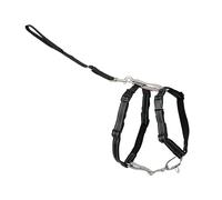 PetSafe 3 in 1 No-Pull Dog Harness - Walk, Train or Travel - Helps Prevent Pets from Pulling on Walks - Seatbelt Loop Doubles as Quick Access Handle - Reflective Accents - Small, Black