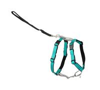 PetSafe 3 in 1 Harness and Car Restraint Pet Safe 37016014: arnés para Perro 3 en 1, Verde Azulado XS, Nailon, X-Small