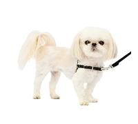 PetSafe Arnés para Perros Easy Walk