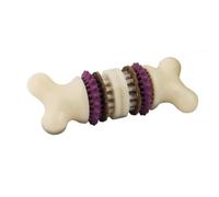 PetSafe Busy Buddy Bristle Bone - Juguete para morder, Juguete para Perros, Masticable, con Anillos de Golosina, Apto para Lavavajillas - Mediano, M