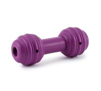 PetSafe Busy Buddy Chuckle - Juguete Interactivo para Perros Dispensador de Golosinas, Hueso para Perro, Juguete para Morder con Sonido