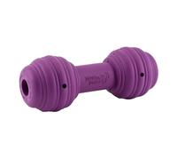 PetSafe Busy Buddy Chuckle - Juguete Interactivo para Perros Dispensador de Golosinas, Hueso para Perro, Juguete para Morder con Sonido