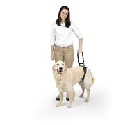PetSafe CareLift Arnés de Elevación Trasera para Perros, Arnés de Soporte con Asa y Correa, Perros Discapacitados o Ancianos, Material Transpirable y Cómodo, Fácil Ajuste, Perro Grande
