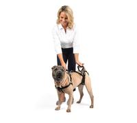 PetSafe Carelift, Arnés de Soporte de Cuerpo Completo con Asa, para Perros Enfermos o Mayores, Transpirable y Cómodo, Ajuste Fácil, Talla M para Perros Medianos