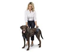 PetSafe Carelift, Arnés de Soporte de Cuerpo Completo con Asa, para Perros Enfermos o Mayores, Transpirable y Cómodo, Ajuste Fácil, Talla L, para Perro Grande
