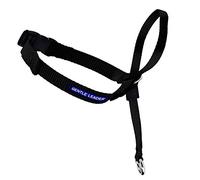 PetSafe Collar de Cabeza DVD de Entrenamiento (Idioma español no garantizado)