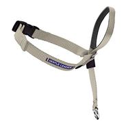 PetSafe Collar de Cabeza DVD de Entrenamiento (Idioma español no garantizado)