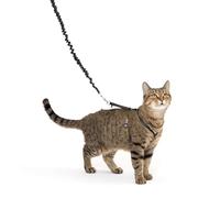 PetSafe Come with Me Kitty - Arnés y Correa elástica - Arnés Ajustable y Ligero para Gatos - Pequeño, Color Negro