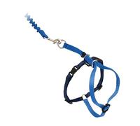 PetSafe Come With Me Kitty - Arnés y correa elástica, arnés para gatos, grande, azul rey/azul marino