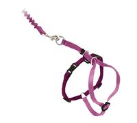 PetSafe Come with Me Kitty - Arnés y Correa elástica, arnés para Gatos, Grande, Rosa Polvoriento/borgoña