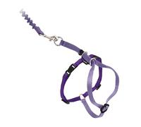 PetSafe Come with Me Kitty - Arnés y Correa elástica para Gatos, Grande, Color Lila/Morado Brillante