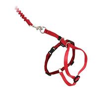 PetSafe Come with Me Kitty - Arnés y Correa elástica, Talla S, Color Rojo