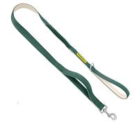 PetSafe Comfort - Correa elástica de 4 pies, asas acolchadas dobles y de tráfico para un mejor control, costuras reflectantes, herrajes de primera calidad con anillo en D, color verde