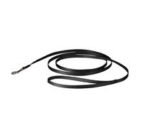PetSafe Correa de Nailon para Perro, Fuerte, Duradera, Estilo Tradicional con Broche de Perno fácil de Usar para Perros pequeños, medianos y Grandes, 3/8 Pulgadas x 6 pies, Color Negro