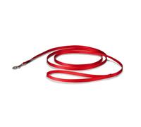 PetSafe Correa de Nylon para Perros - Fuerte, Duradera, Correa de Estilo Tradicional con Mosquetón Fácil de Usar para Perros Pequeños, Medianos y Grandes - 1 cm x 1,8 m, Roja