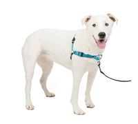 PetSafe Perros Arnés de Lujo Easy Walk, Mediano/Grande, Azul océano, Nailon, M/L