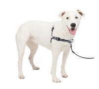 PetSafe Dog Harness Arnés Deluxe Easy Walk, Mediano/Grande, Gris Acero, Nailon, M/L